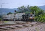 NS 4611